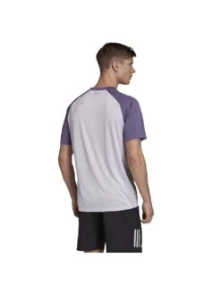 Camiseta Adidas Club C/B -Pro Tennis Tienda camiseta adidas club cb 1 2